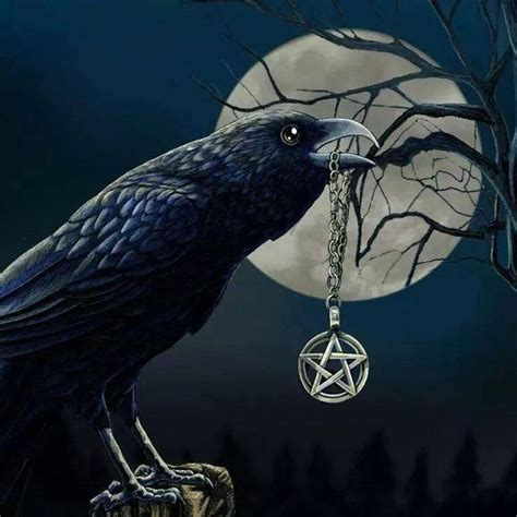 The Psychological Impact of the Magic Raven Syndrome